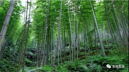 【开局十四五 奋进新征程】里山街道:构筑全域旅游大格局