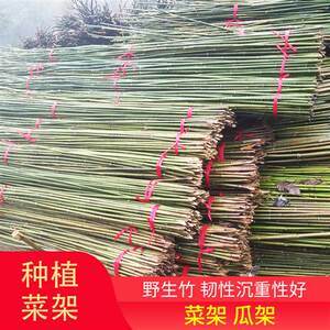 【爬藤支架竹图片】近期1586组爬藤支架竹