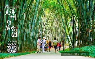 大美深圳 行摄公园 翠竹公园