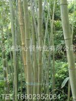 庆元县双益竹木制品厂_世界工厂网全球企业库